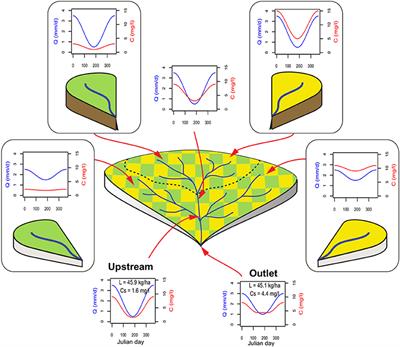 Distribution of Landscape Units Within Catchments Influences Nutrient Export Dynamics